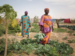 Article secondaire - A la vie, à la terre - Cameroun, la terre des femmes