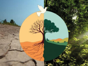 Article secondaire - Temps pour la création 2025, un appel à la conversion écologique et spirituelle